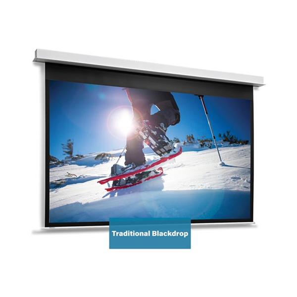 Projecta DescenderPro RF 263x350 Matte W