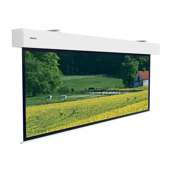 Projecta Elpro Large Electrol 490x490 M