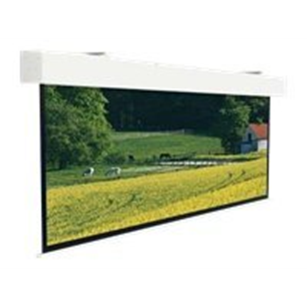 Projecta Elpro Large Electrol WS 330x440