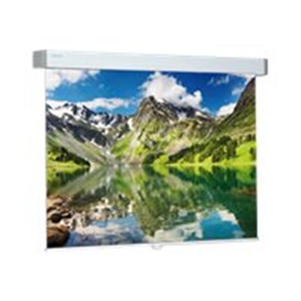 Projecta Hapro CSR 194x310 Matte White_W