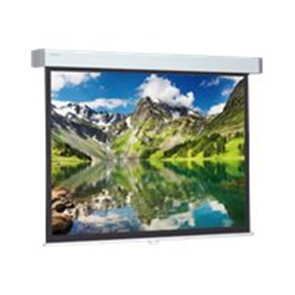 Projecta Hapro CSR 218x290 Matte White_W