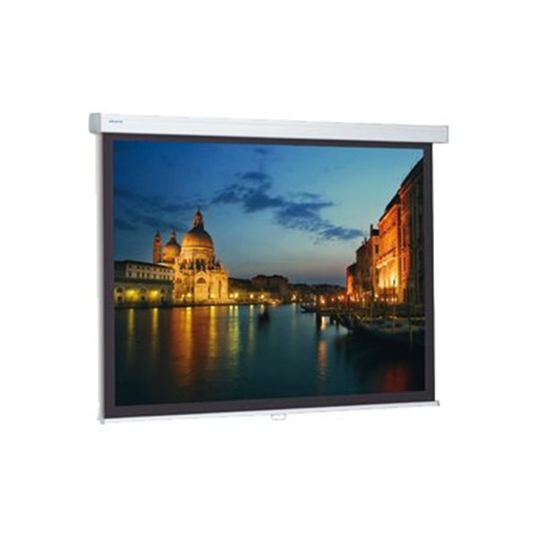 Projecta ProScreen 126x170 High Contrast