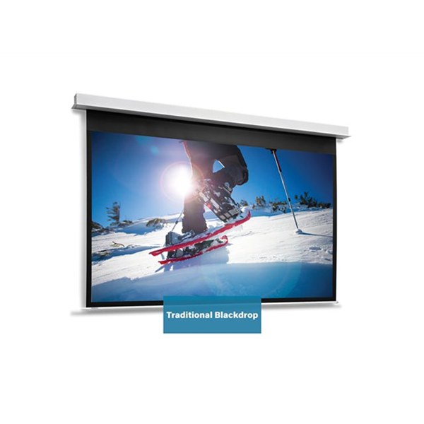 Projecta Screen Surface Assembly Descend