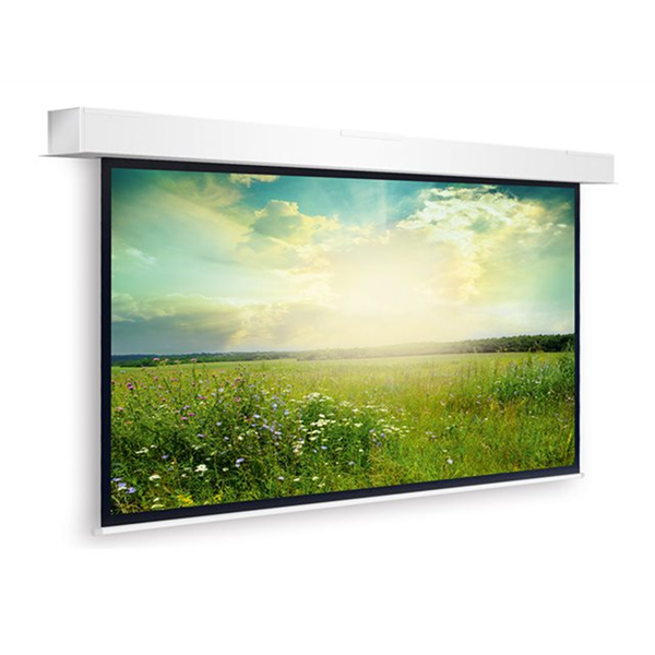 Projecta Screen Surface Assembly Descend