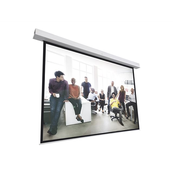 Projecta Screen Surface Assembly Descend