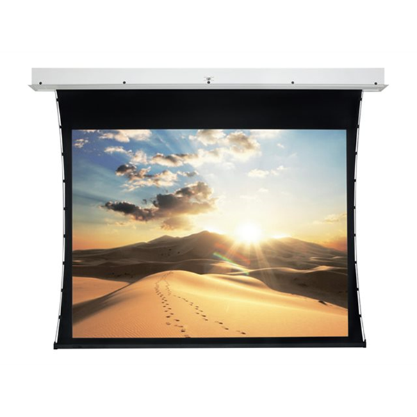 Projecta Screen Surface Assembly Tension