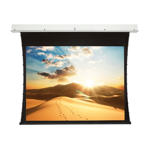 Projecta Screen Surface Assembly Tension