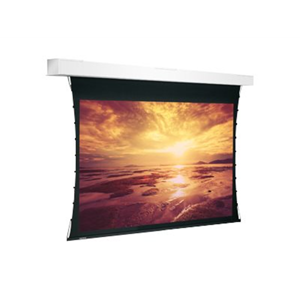 Projecta Tensioned Descender Large Elect