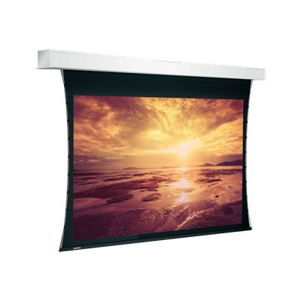 Projecta Tensioned Descender Large Elect