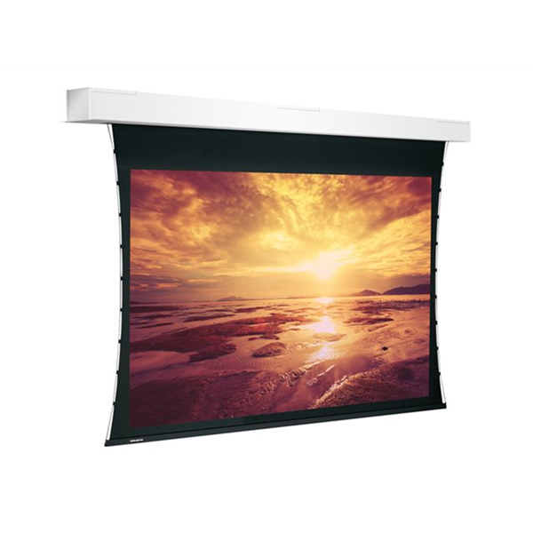 Projecta Tensioned Descender Large Elect