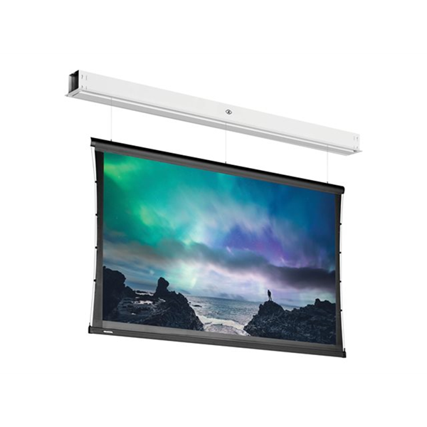 Projecta Tensioned DescenderPro SightLin