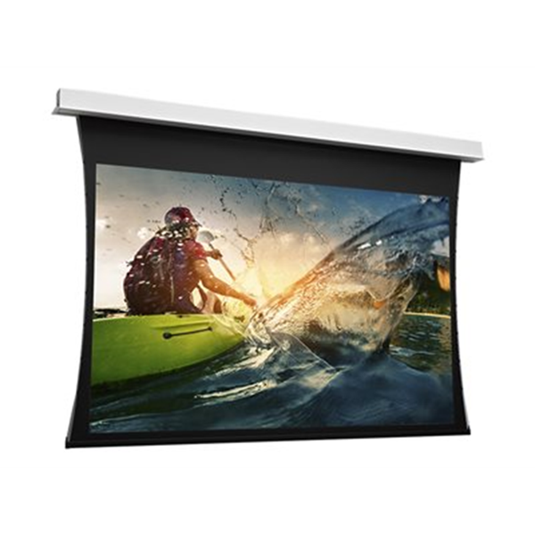 Projecta Tensioned DescenderPro WS 181x2