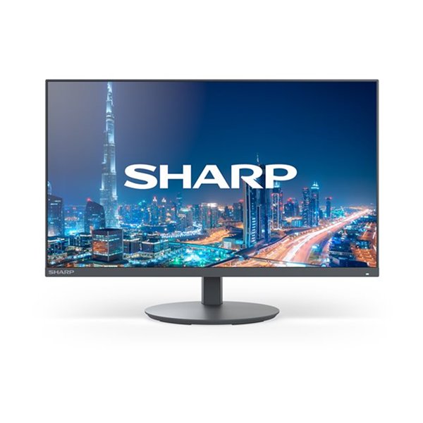 Sharp MultiSync E244F