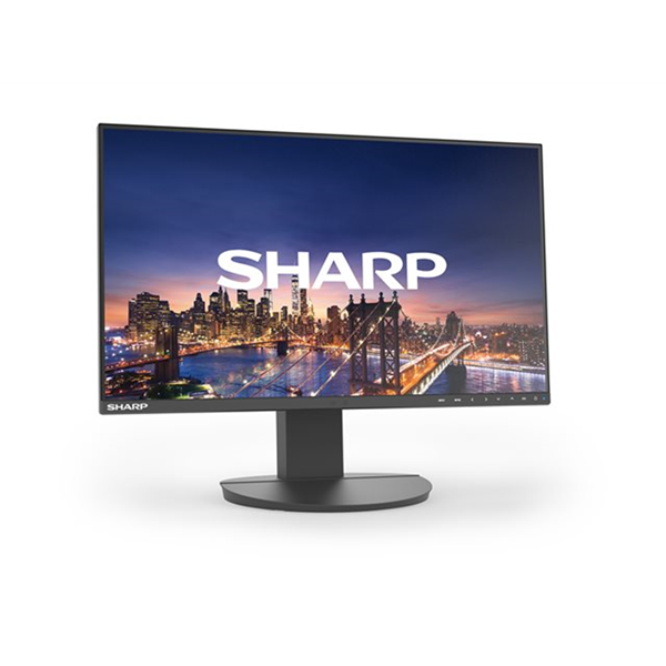 Sharp MultiSync EA241F
