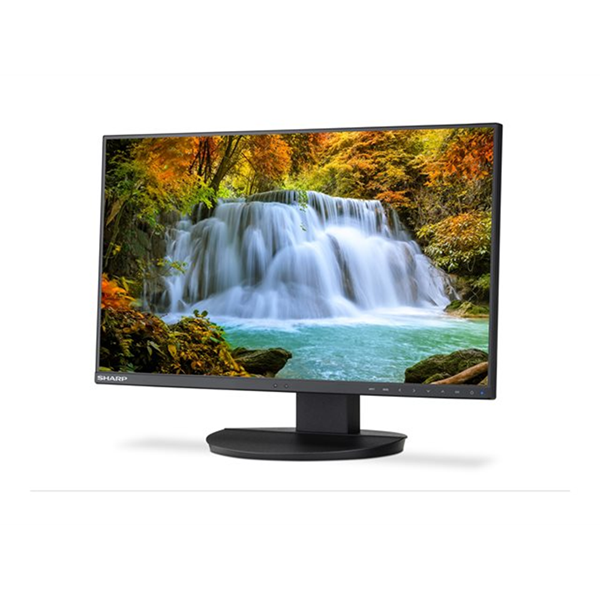 Sharp MultiSync EA242F