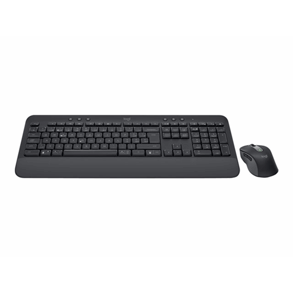 Signature MK650 Combo for Business - GRAPHITE - CH - CENTRAL QWERTZ