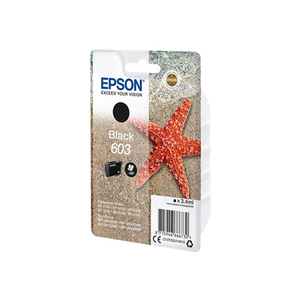 Singlepack Black 603 Ink