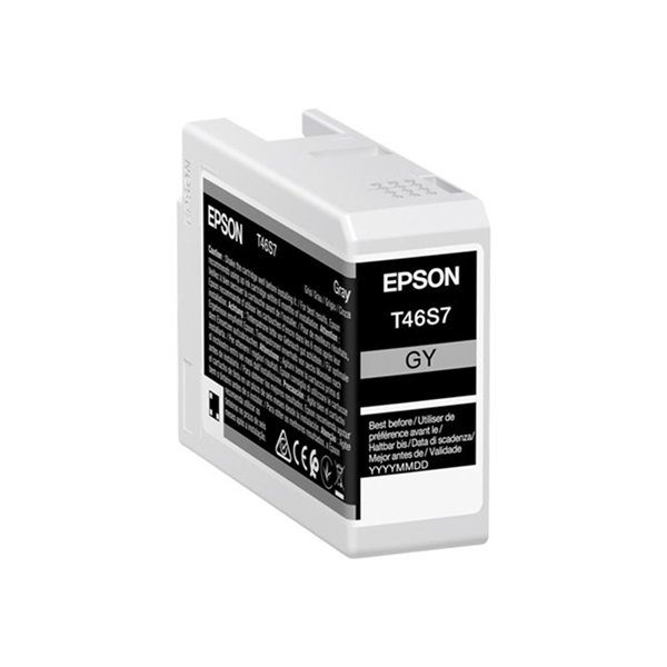 Singlepack Gray T46S7 10 ink 25ml