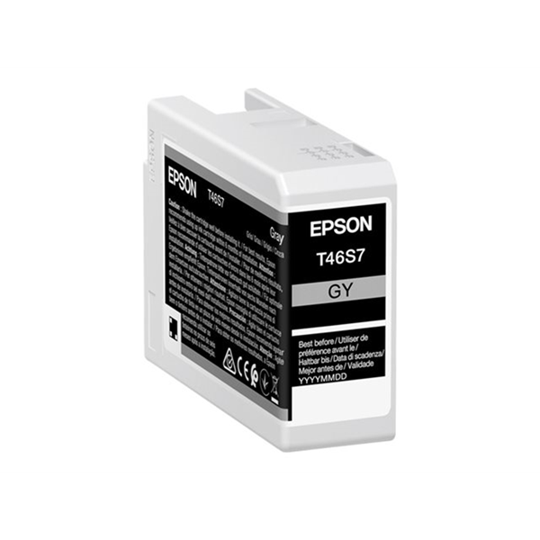 Singlepack Gray T46S7 10 ink 25ml