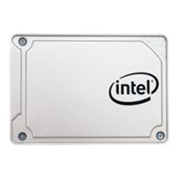 SSD DC S3110 Series 256GB 2.5in