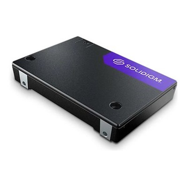 SSD/PS1010 3.84TB 2.5in PCIe 5.0 SglPk
