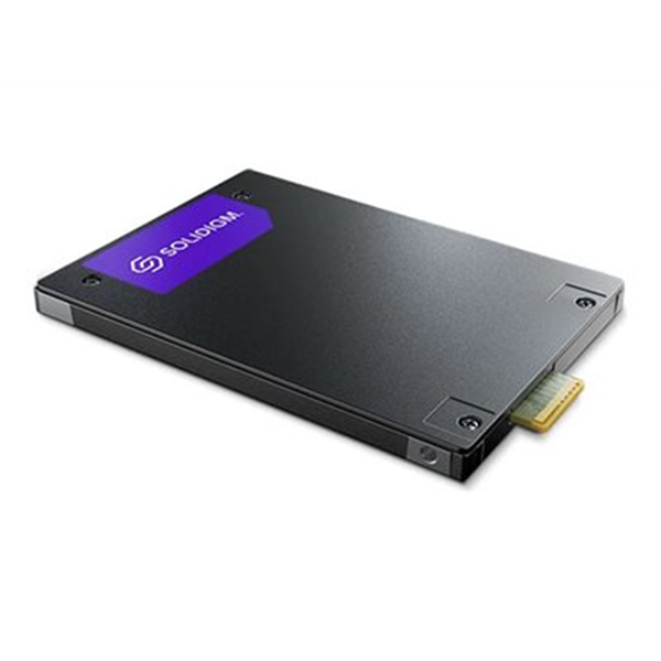 SSD/PS1010 3.84TB E3.S 7.5mm PCIe 5.0 Sg