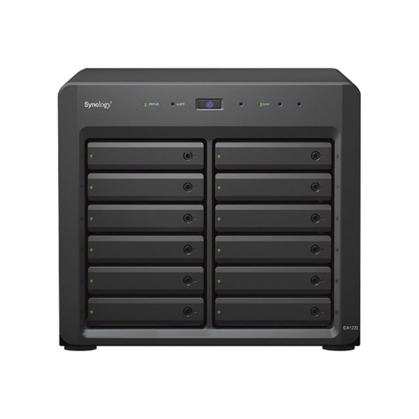 Synology DX1222