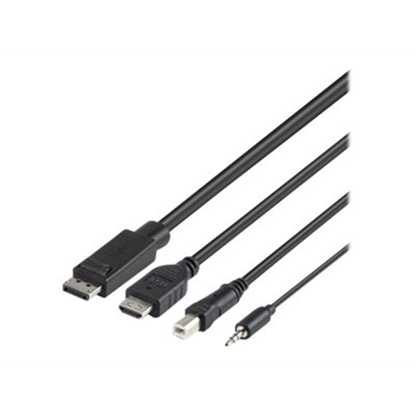 TAA Dual Head HDMI/DP to DP and HDMI Co