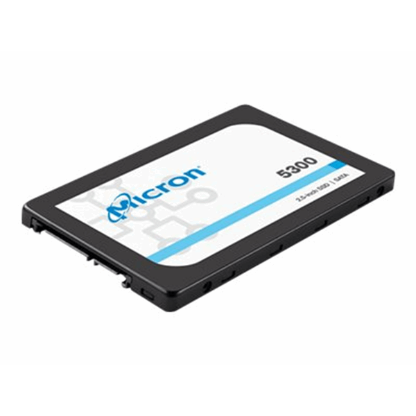 TS2.5" 5300 3.84TB Entry SATA 6Gb HS SSD