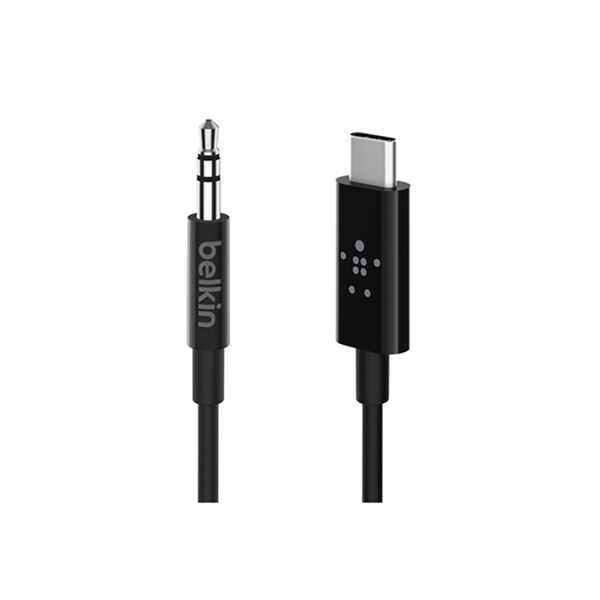 USB-C to 3.5 mm Audio Cable