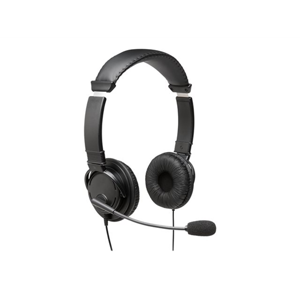 USB Hi-Fi Headphones with Mic