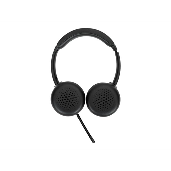 Wireless Stereo Headset