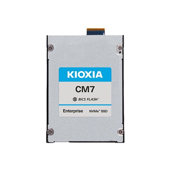 X121 CM7-V E3.S eSDD 1.6TB PCIe SIE